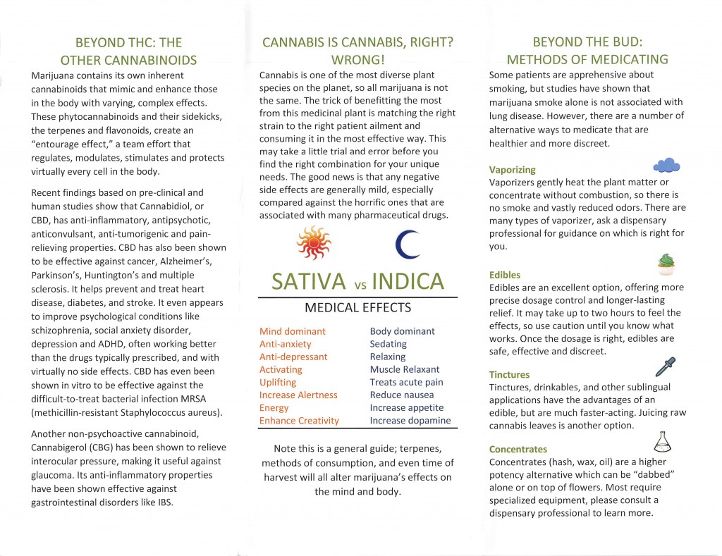 cannabis brochure-2